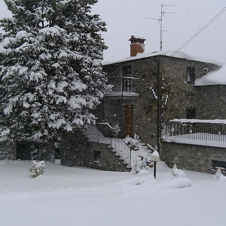 Agriturismo La Casina Villa Caprese Michelangelo Exterior foto