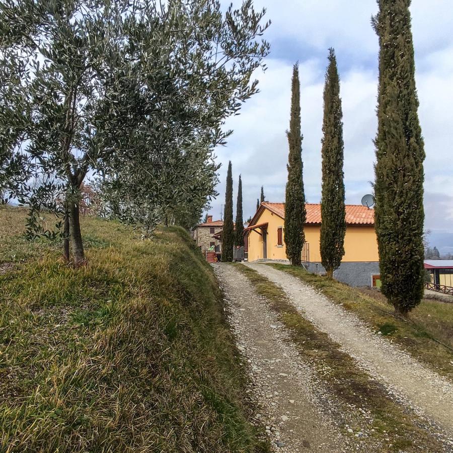 Agriturismo La Casina Villa Caprese Michelangelo Exterior foto