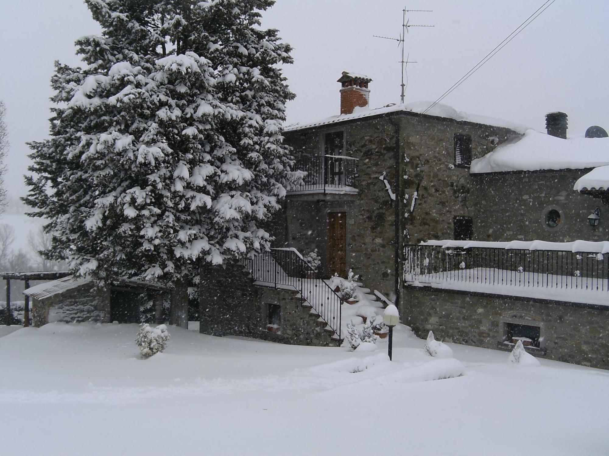 Agriturismo La Casina Villa Caprese Michelangelo Exterior foto